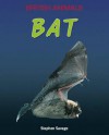 Bat - Stephen Savage