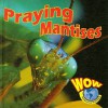 Praying Mantises - Heather C. Hudak