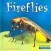 Fireflies - Connie Colwell Miller