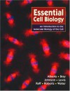 Essential Cell Biology: An Introduction To The Molecular Biology Of The Cell - Bruce Alberts, Alexander Johnson, Dennis Bray