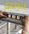 What Does a Level Do? - Robin Nelson