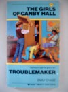 Troublemaker - Emily Chase