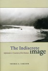 The Indiscrete Image: Infinitude and Creation of the Human - Thomas A. Carlson