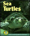 Sea Turtles - Frank J. Staub