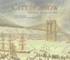 City of Snow: The Great Blizzard of 1888 - Linda Oatman High, Laura Francesca Filippucci