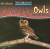 Owls Are Night Animals - Joanne Mattern