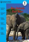 How Animals Find Water - Heather Adamson