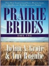 Prairie Brides: A Homesteader, a Bride and a Baby, and a Vow Unbroken - JoAnn A. Grote, Amy Rognlie