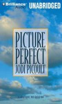 Picture Perfect - Sandra Burr, Bruce Reizen, Jodi Picoult