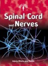 Spinal Cord and Nerves: Injury, Illness and Health - Steve Parker