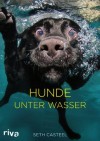 Hunde unter Wasser (German Edition) - Seth Casteel