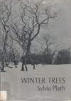 Winter Trees - Sylvia Plath