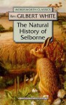 Natural History Of Selbourne (Wordsworth Classics) - Gilbert White