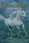 Untamed (Phantom Stallion, #11) - Terri Farley