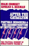 After the Cataclysm (Political Economy of Human Rights, #2) - Noam Chomsky, Edward S. Herman