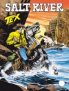 Tex n. 627: Salt River - Mauro Boselli, Stefano Andreucci, Claudio Villa