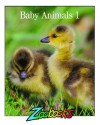 Baby Animals 1 (Zoobooks) - John Bonnett Wexo