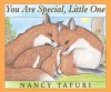 You Are Special, Little One (Board Book) - Nancy Tafuri