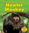 Howler Monkey (Day in the Life: Rain Forest Animals) - Anita Ganeri