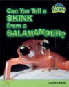 Can You Tell a Skink from a Salamander? - Anna Claybourne