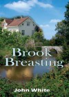 Brook Breasting - John White