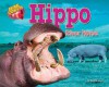 Hippo: River Horse - Natalie Lunis