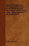Sidonia the Sorceress - The Supposed Destroyer of the Whole Reigning Ducal House of Pomerania - Also - Mary Schweidler the Amber Witch - Wilhelm Meinhold