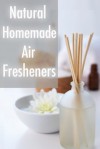 Natural Homemade Air Fresheners :The Ultimate Guide - Sarah Dempsen, Encore Books