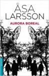 Aurora boreal - Åsa Larsson