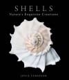 Shells: Nature's Exquisite Creations - Joyce Tenneson