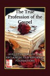 The True Profession of the Gospel - Lee Gatiss