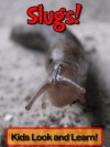 Slugs! Learn About Slugs and Enjoy Colorful Pictures - Look and Learn! (50+ Photos of Slugs) - Becky Wolff