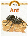 Ant - Stephen Savage