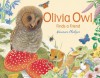 Olivia Owl Finds a Friend - Maurice Pledger