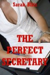 The Perfect Secretary: An Office Sex Erotica Story - Sarah Blitz