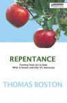 Repentance: Turning From Sin To God: What It Means And Why It's Necessary - Thomas Boston