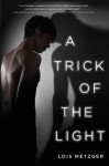 A Trick of the Light - Lois Metzger