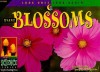 Plant Blossoms - David M. Schwartz, Dwight Kuhn