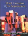 Brief Calc& Its Appl & S/S/M& Visl Calc Pkg - Larry J. Goldstein, David I. Schneider, David C. Lay