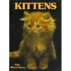 Kittens - David Gibbon