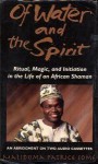 Of Water and the Spirit (Audio) - Malidoma Patrice Somé