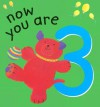 Now You Are 3 - Lois Rock