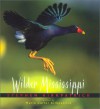 Wilder Mississippi - Stephen Kirkpatrick, Marlo Carter Kirkpatrick