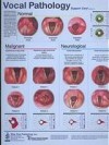 Vocal Pathology II: Neurological Support Card (No. 2) - C. Richard Stasney, Robert O'Brien