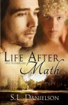 Life After Math (Sequel to Love by the Numbers) - S.L. Danielson