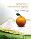 Beginning & Intermediate Algebra Value Pack (Includes Math Study Skills & CD Lecture Series ) - Elayn Martin-Gay