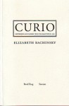 Curio: Grotesques and Satires from the Electronic Age - Elizabeth Bachinsky