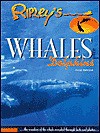 Ripley's Whales And Dolphins - Doug Perrine