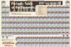 Periodic Table-Laminated (Science Series) - Inc. BarCharts