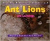 Ant Lions: And Lacewings (Nature Close-Up (Blackbirch Hardcover)) - Dwight Kuhn